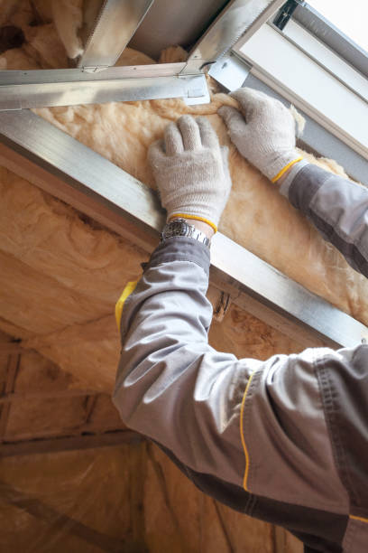 Best Insulation Maintenance and Repair in Huntersville, NC